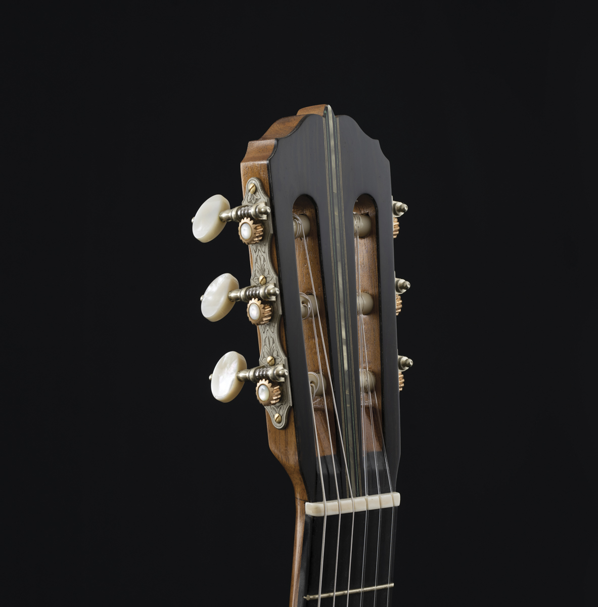 Limited Edition Roma Expo Guitars 2020, 2020