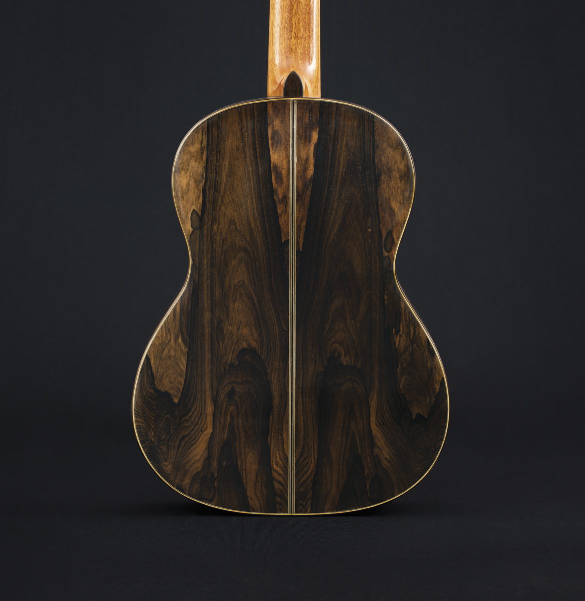 Limited Edition Roma Expo Guitars 2020, 2020